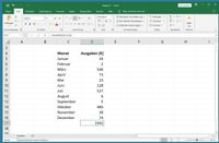 Microsoft Office Excel mit Beispieltabelle – Tabellenkalkulation-Schulung für Senioren bei M. Schüller Computer in Frankfurt